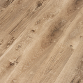Seaboard Oak